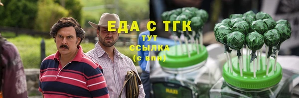 индика Магас
