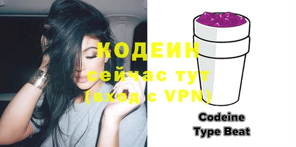 индика Магас