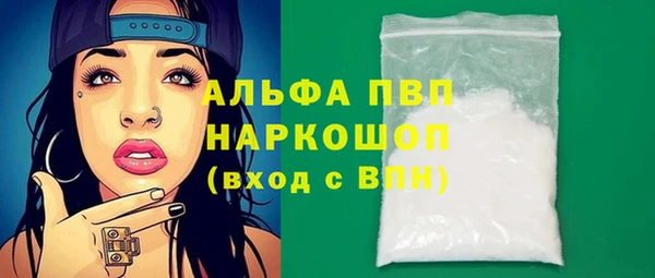 индика Магас