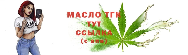индика Магас