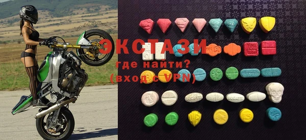 индика Магас