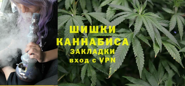 индика Магас