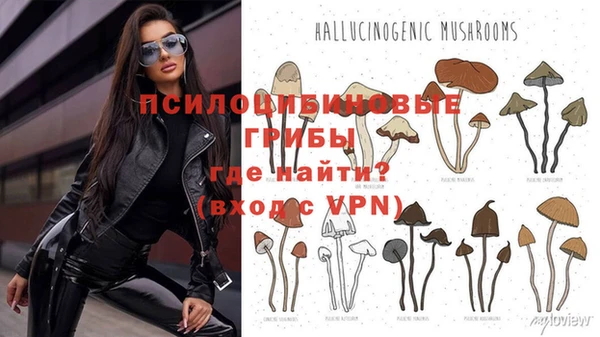 кокс Магадан