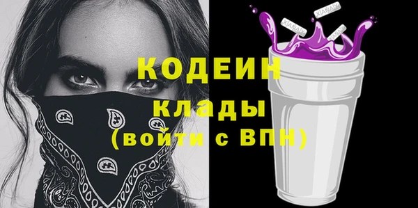 индика Магас